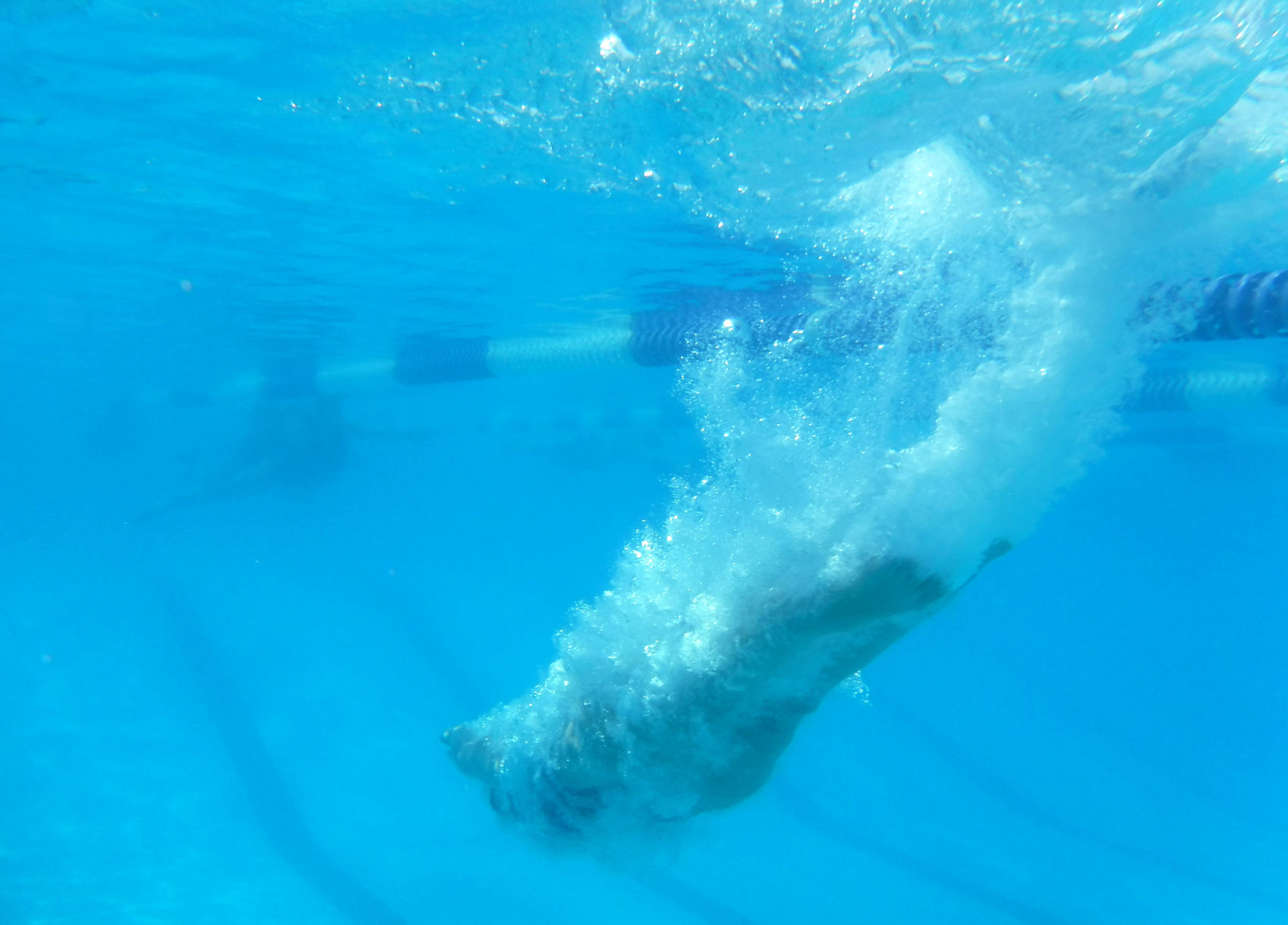 Swim Team practice
